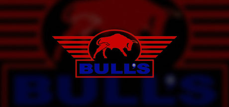 Bulls Netherlands darts mats